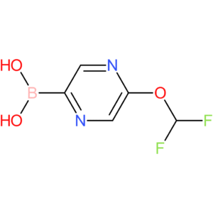 5-(difluoromethoxy)pyrazine-2-boronic acid