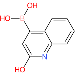 (2-hydroxyquinolin-4-yl)boronic acid