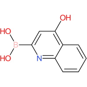 (4-hydroxyquinolin-2-yl)boronic acid