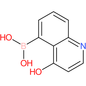 4-hydroxyquinoline-5-boronic acid