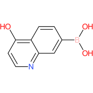 4-hydroxyquinoline-7-boronic acid
