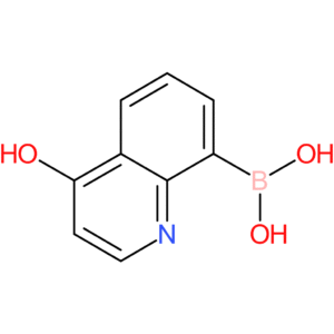 4-hydroxyquinoline-8-boronic acid