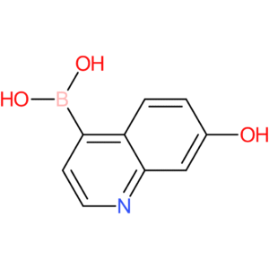 (7-hydroxyquinolin-4-yl)boronic acid