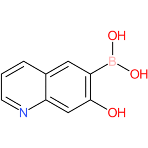 7-hydroxyquinoline-6-boronic acid