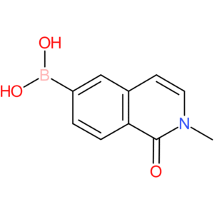 2-methyl-1-oxo-1,2-dihydroisoquinolin-6-ylboronic acid