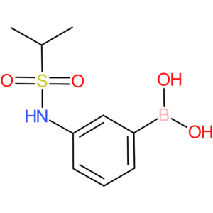 3-(1-methylethylsulfonamido)phenylboronic acid