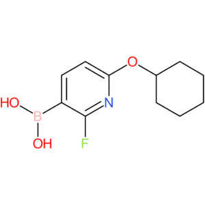 6-cyclohexyloxy-2-fluoropyridine-3-boronic acid