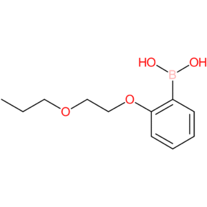 2-(2-propoxyethoxy)phenylboronic acid