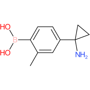 [4-(1-aminocyclopropyl)-2-methylphenyl]boronic acid