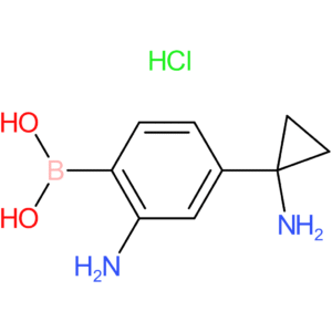 rarechem gt hd 0810