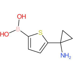 [5-(1-aminocyclopropyl)thiophen-2-yl]boronic acid