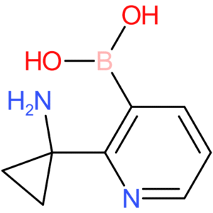 [2-(1-aminocyclopropyl)pyridin-3-yl]boronic acid