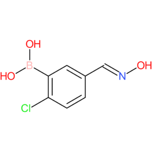 (Z)-(2-chloro-5-((hydroxyimino)methyl)phenyl)boronic acid