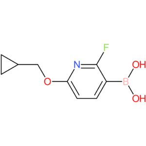 6-(cyclopropylmethoxy)-2-fluoropyridine-3-boronic acid
