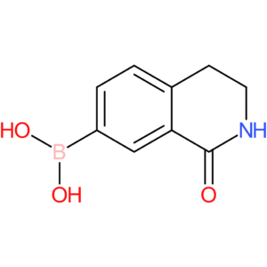 1,2,3,4-tetrahydro-1-oxoisoquinolin-7-yl-7-boronic acid