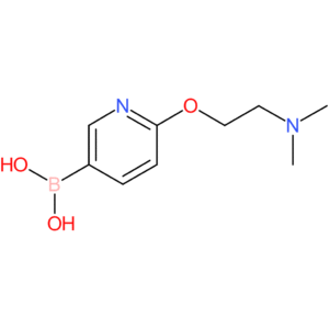 2-(2-dimethylamino-ethoxy)-pyridine-5-boronic acid