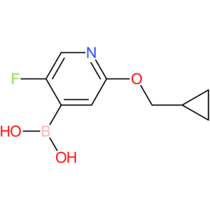 2-(cyclopropylmethoxy)-5-fluoropyridine-4-boronic acid