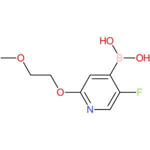 5-fluoro-2-(2-methoxyethoxy)pyridine-4-boronic acid