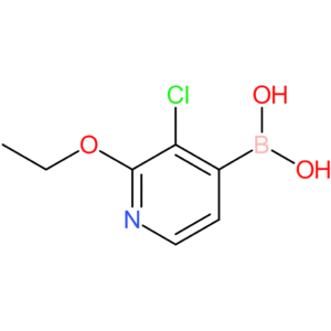 3-chloro-2-ethoxypyridine-4-boronic acid
