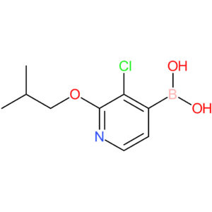 3-chloro-2-isobutoxypyridine-4-boronic acid