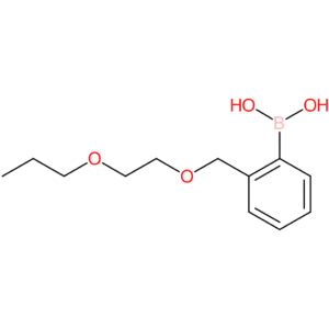 (2-[(2-propoxyethoxy)methyl]phenyl)boronic acid