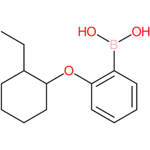 (2-[(2-ethylcyclohexyl)oxy]phenyl)boronic acid