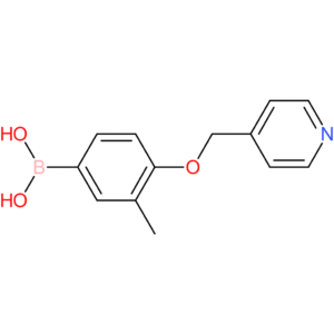 [3-methyl-4-(pyridin-4-ylmethoxy)phenyl]boronic acid