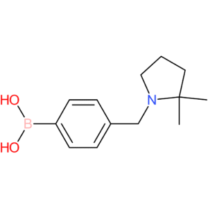 (4-[(2,2-dimethylpyrrolidin-1-yl)methyl]phenyl)boronic acid