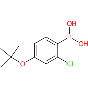 4-(t-butoxy)-2-chlorophenylboronic acid