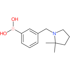 (3-[(2,2-dimethylpyrrolidin-1-yl)methyl]phenyl)boronic acid