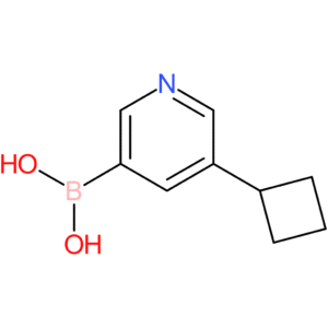 5-(cyclobutyl)pyridine-3-boronic acid