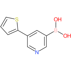 5-(2-thienyl)pyridine-3-boronic acid