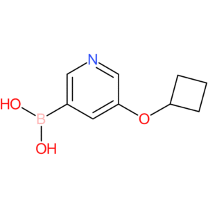 5-(cyclobutoxy)pyridine-3-boronic acid