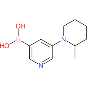 5-(2-methylpiperidin-1-yl)pyridine-3-boronic acid