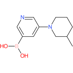 5-(3-methylpiperidin-1-yl)pyridine-3-boronic acid