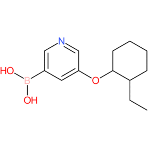 (5-[(2-ethylcyclohexyl)oxy]pyridin-3-yl)boranediol