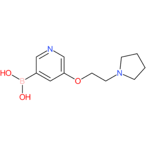 (5-[2-(pyrrolidin-1-yl)ethoxy]pyridin-3-yl)boranediol