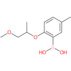 (2-[(1-methoxypropan-2-yl)oxy]-5-methylphenyl)boronic acid