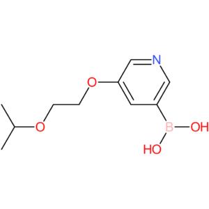 (5-[2-(propan-2-yloxy)ethoxy]pyridin-3-yl)boronic acid