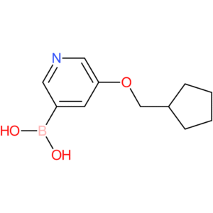 [5-(cyclopentylmethoxy)pyridin-3-yl]boronic acid