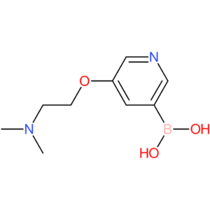 (5-[2-(dimethylamino)ethoxy]pyridin-3-yl)boronic acid