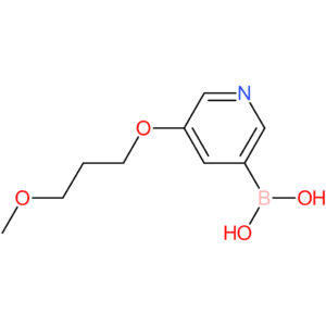[5-(3-methoxypropoxy)pyridin-3-yl]boronic acid