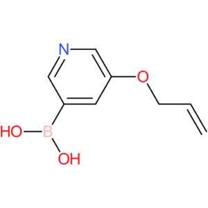 [5-(prop-2-en-1-yloxy)pyridin-3-yl]boronic acid