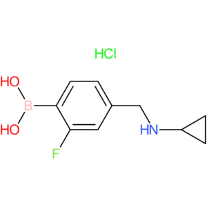 4-(cyclopropylamino)methyl-2-fluorophenylboronic acid, hcl