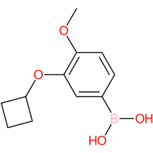 (3-cyclobutoxy-4-methoxyphenyl)boronic acid