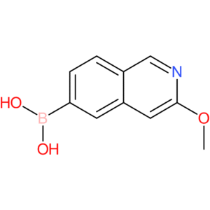 3-methoxyisoquinolin-6-yl-6-boronic acid