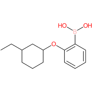 (2-[(3-ethylcyclohexyl)oxy]phenyl)boronic acid