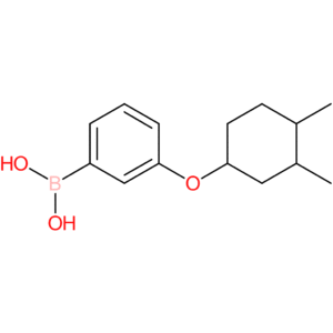 (3-[(3,4-dimethylcyclohexyl)oxy]phenyl)boronic acid
