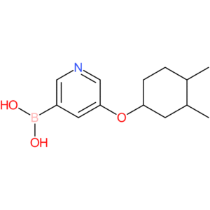 (5-[(3,4-dimethylcyclohexyl)oxy]pyridin-3-yl)boronic acid