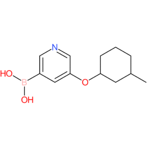 (5-[(3-methylcyclohexyl)oxy]pyridin-3-yl)boronic acid